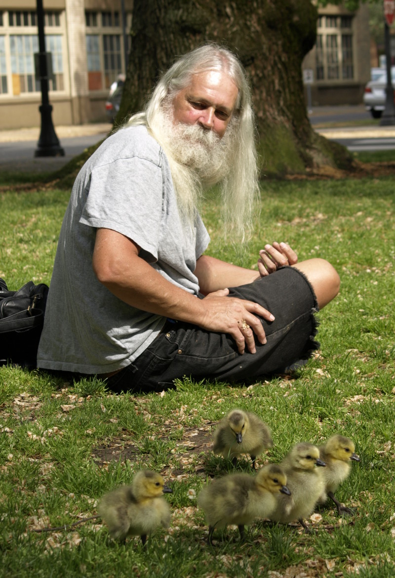 Goslings and me in the park
