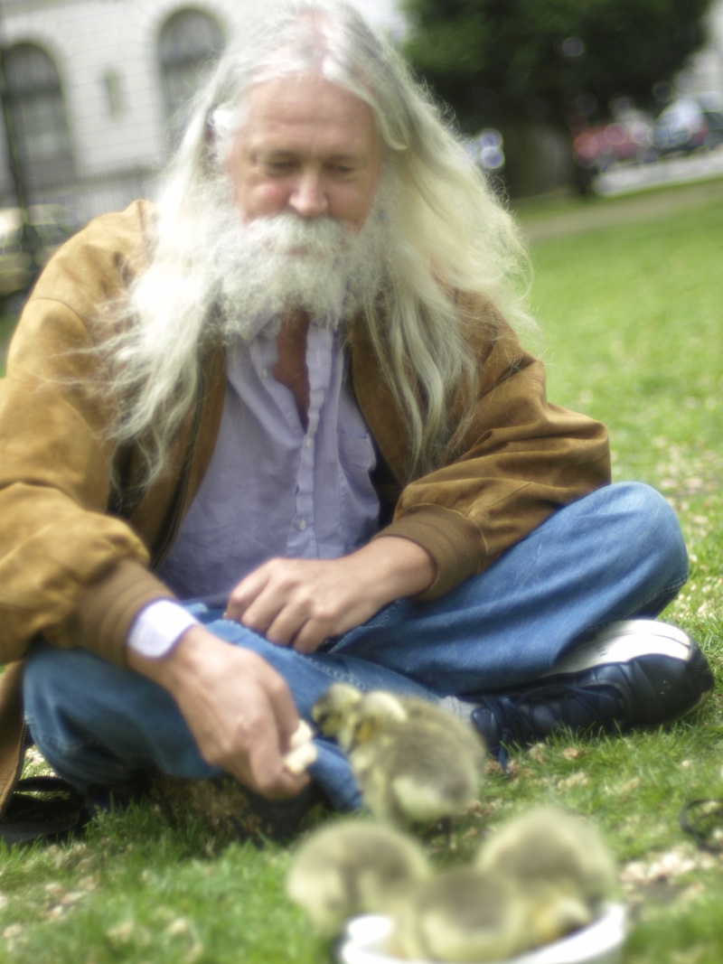 Canada Goose goslings and me