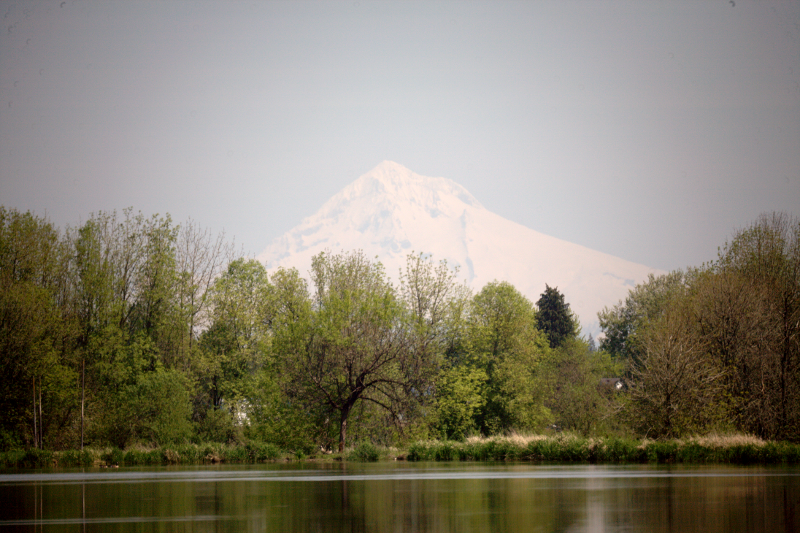 Mount Hood