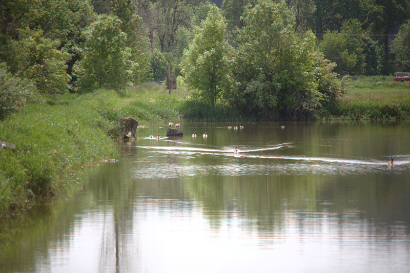 Fernhill Wetlands