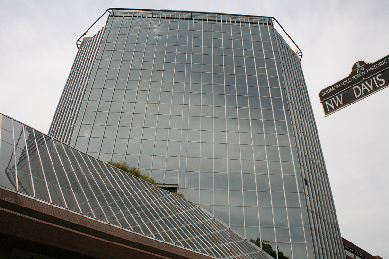 Canada Goose goslings