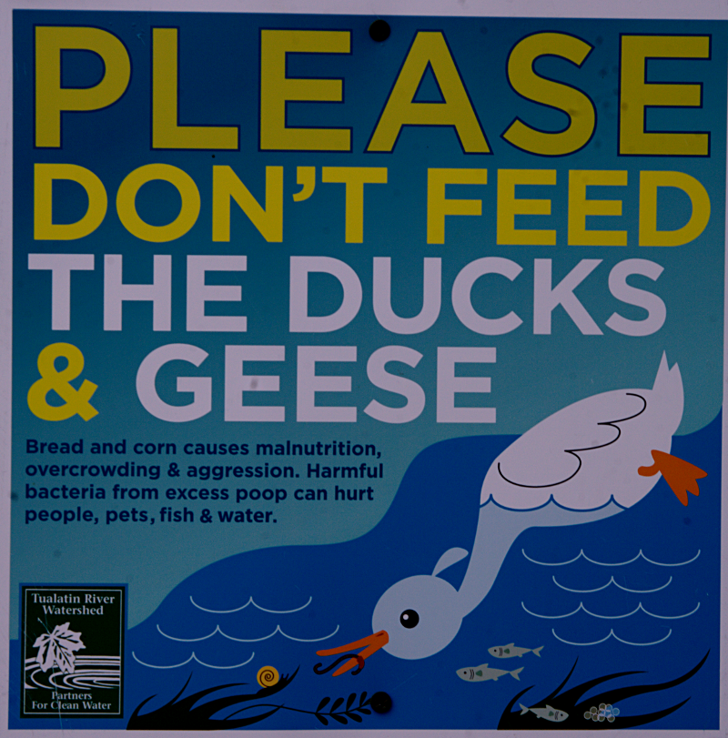 Don't feed the wildlife sign