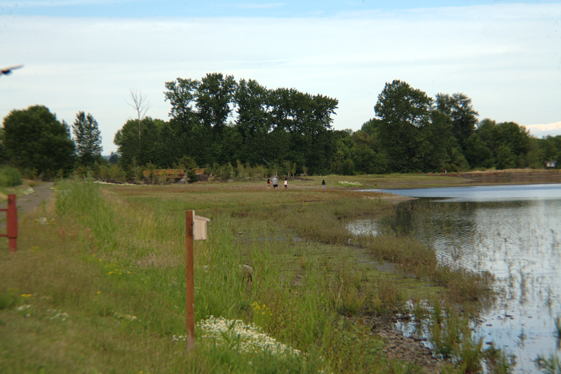 Fernhill Wetlands