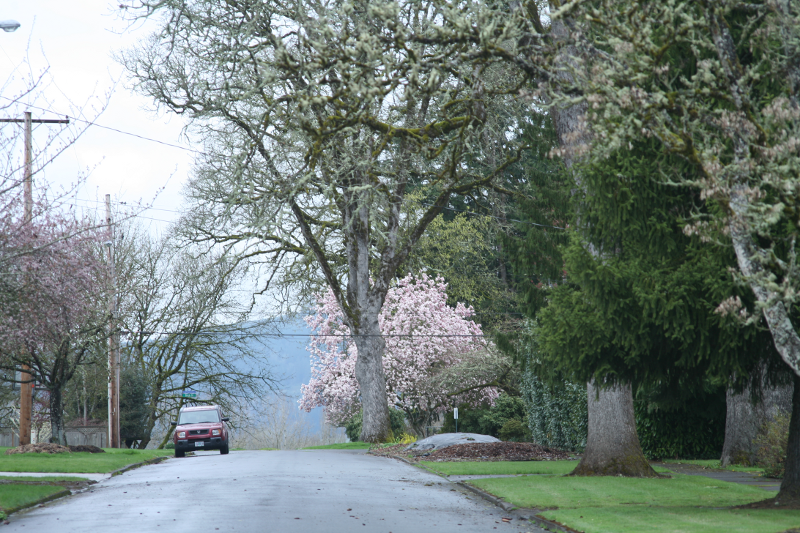 Forest Grove street scene