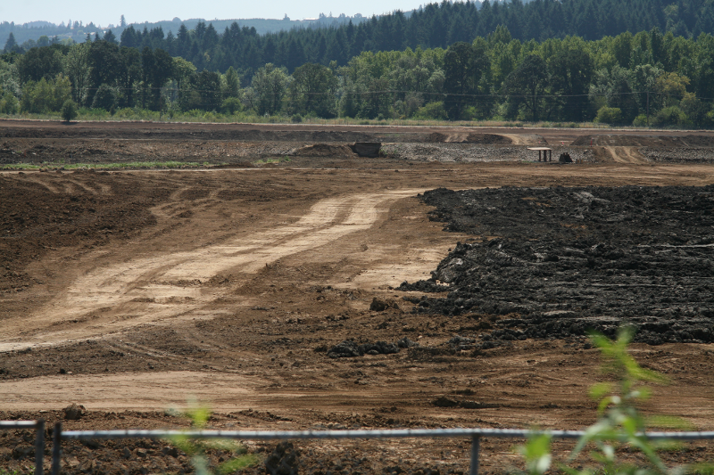 Bulldozed pond at Fernhill Wetlands