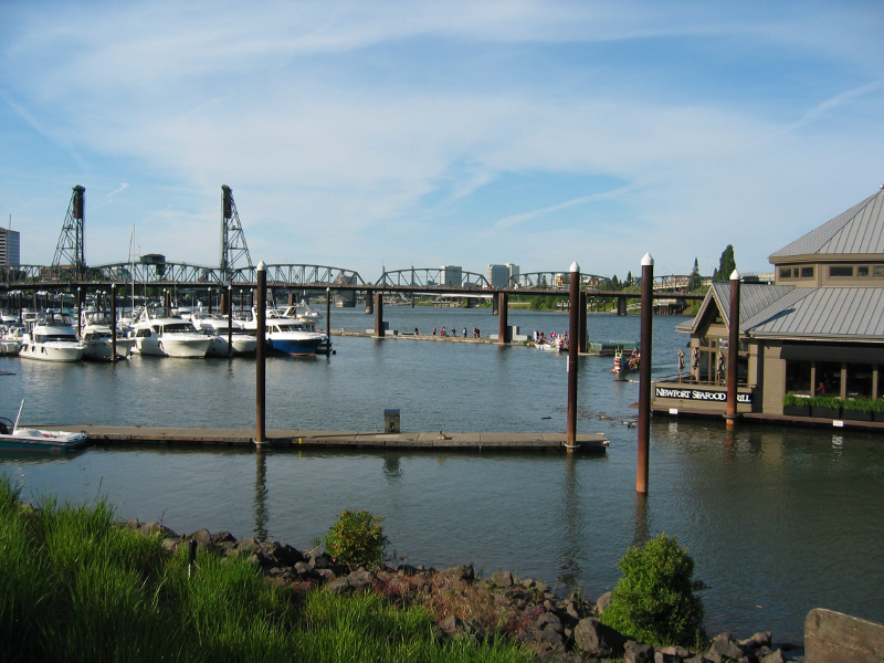 Marina with Canada Geese