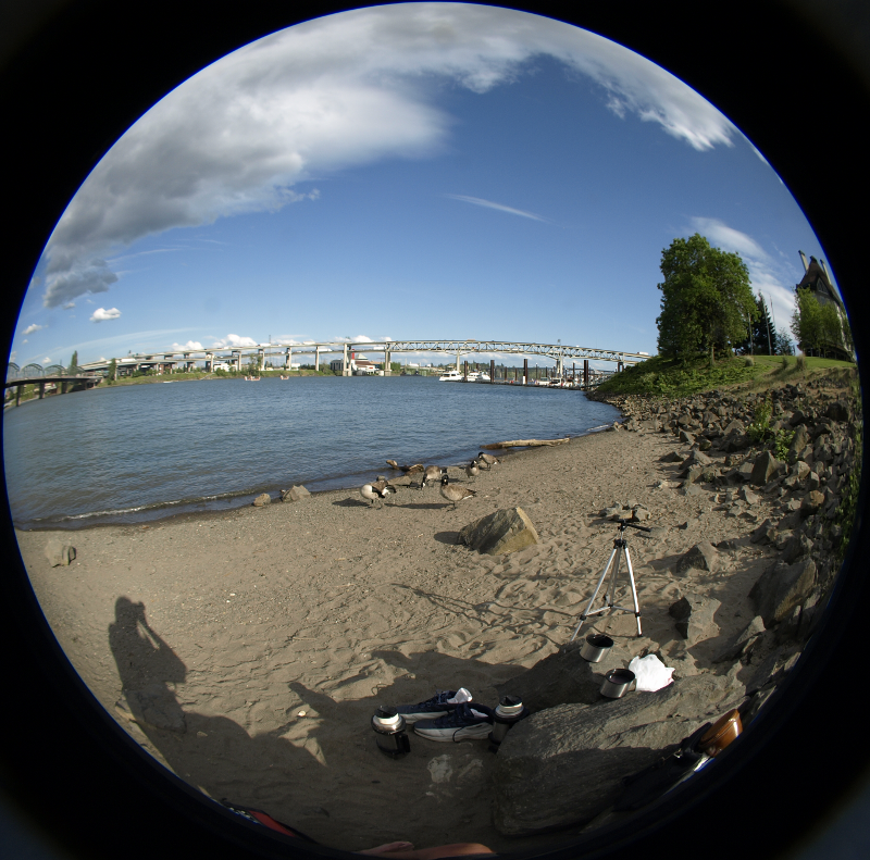 Willamette River and Marquam Bridge