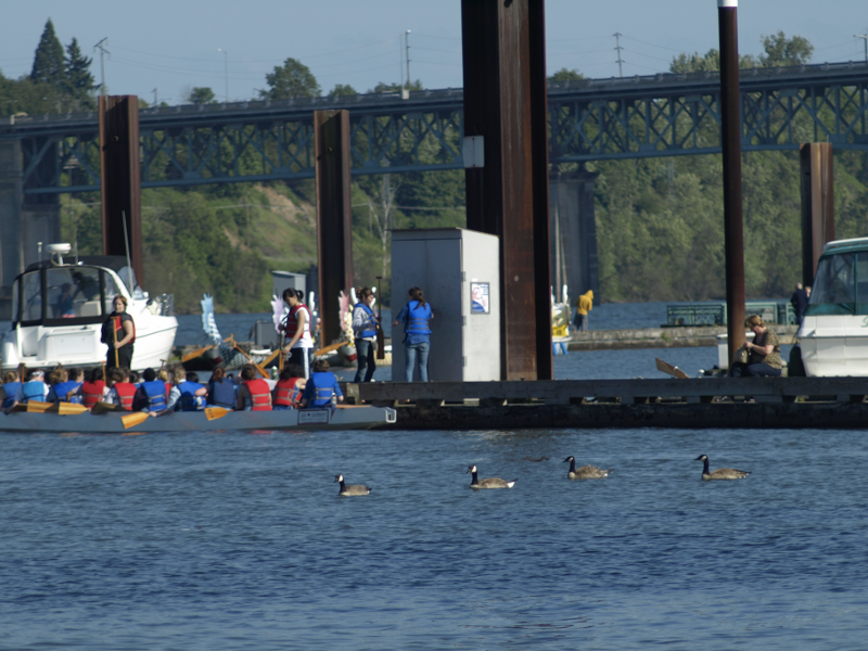 Galley Slaves and Geese