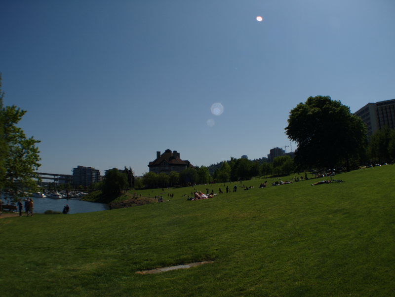 grassy bay at Waterfront Park