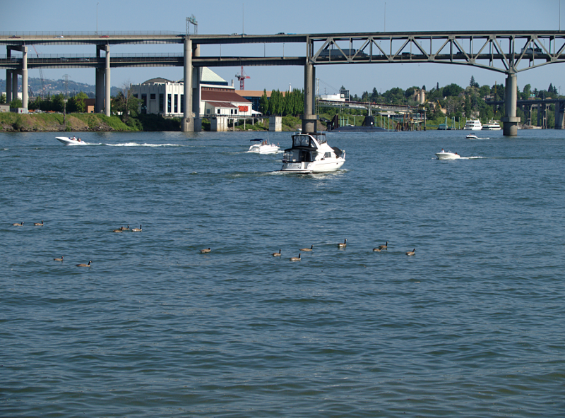 the Willamette River and Marquam Bridge