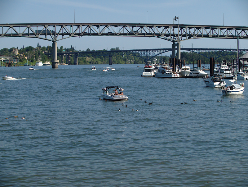 The Marquam Bridge and the marina