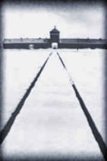 Auschwitz